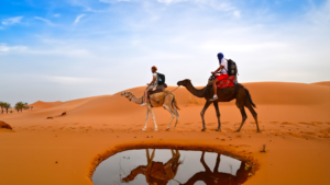 Read more about the article Preparing for a Desert Safari: Essential Tips for an Unforgettable Experience