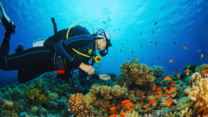 Read more about the article The Best Destinations for Scuba Diving: Explore the Top Spots Around the Globe
