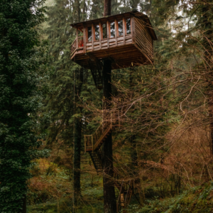 Read more about the article Staying in Treehouses: A Unique Retreat in Nature’s Embrace