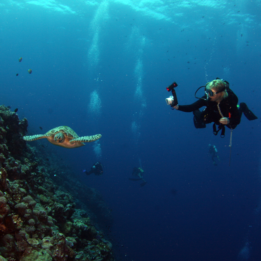 You are currently viewing The Top 10 Scuba Diving Spots Around the World: Explore the Best Underwater Adventures