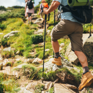 Read more about the article What You Need to Know Before You Go Hiking: Essential Tips for a Safe and Enjoyable Experience